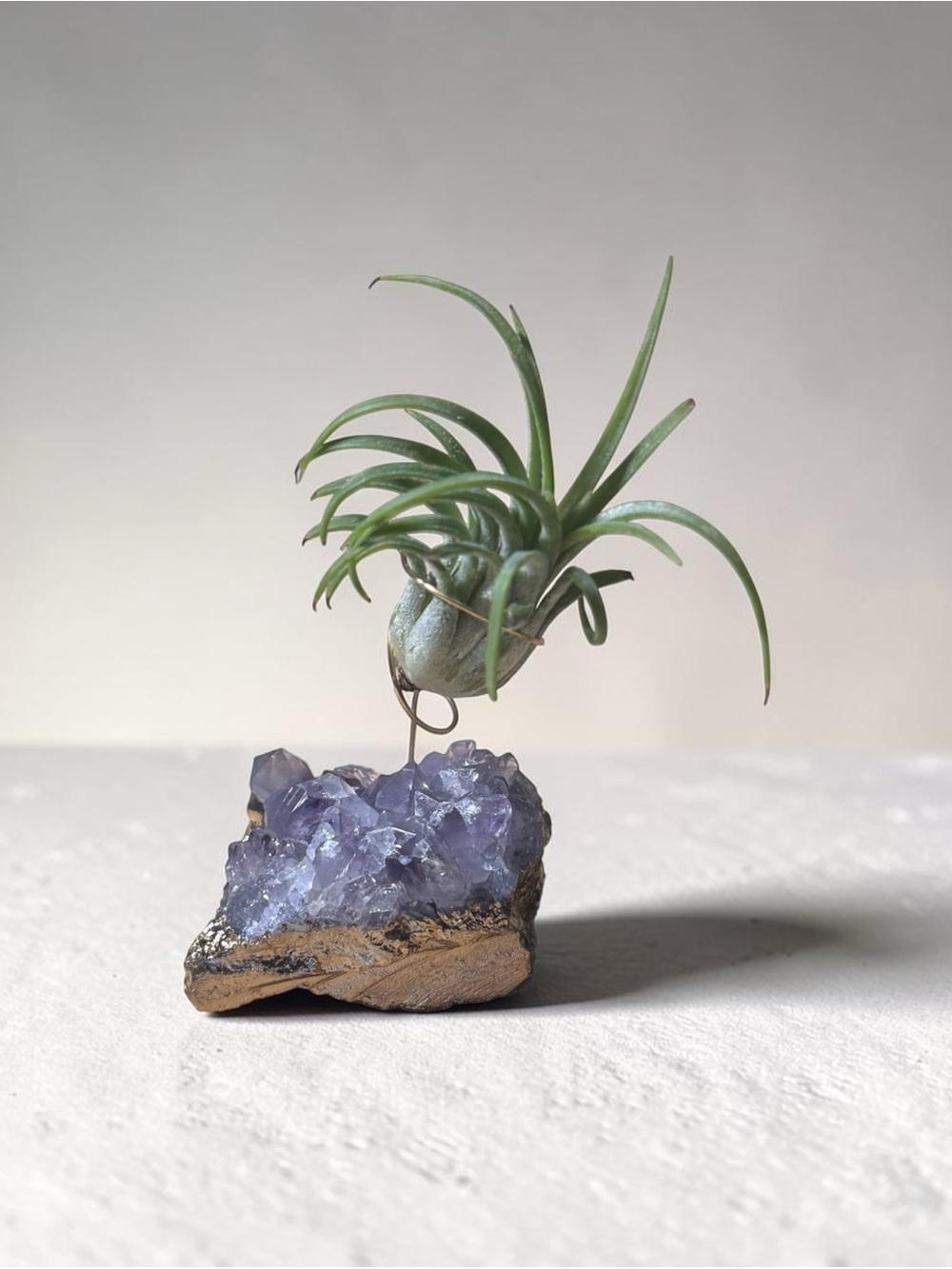 Air Plant on Amethyst Cluster - Lavender Crystal Accent